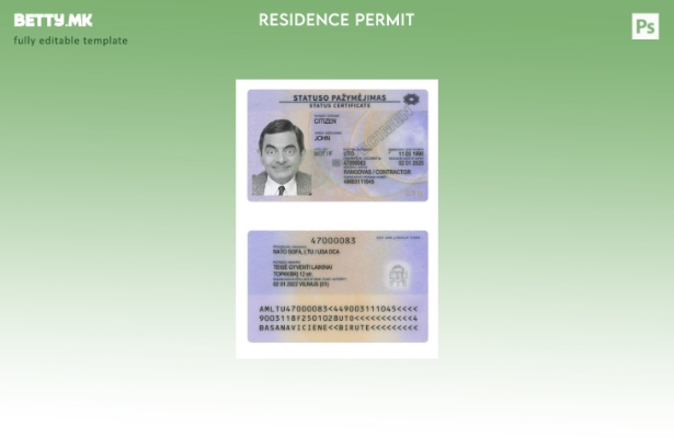 Модерен стил присутен шаблон за картичка за престој во Литванија